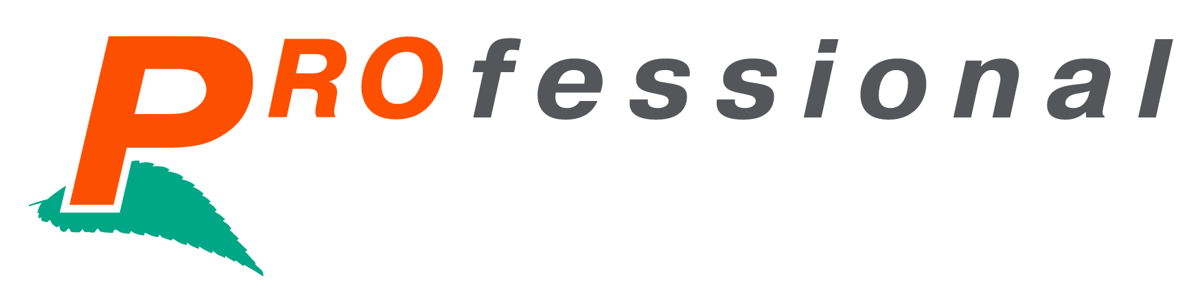 Логотип Professional